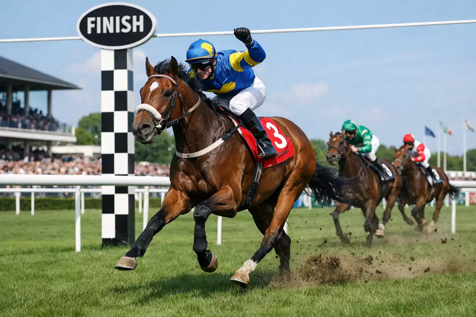 Siegwette – Pferd überquert als Erstes die Ziellinie